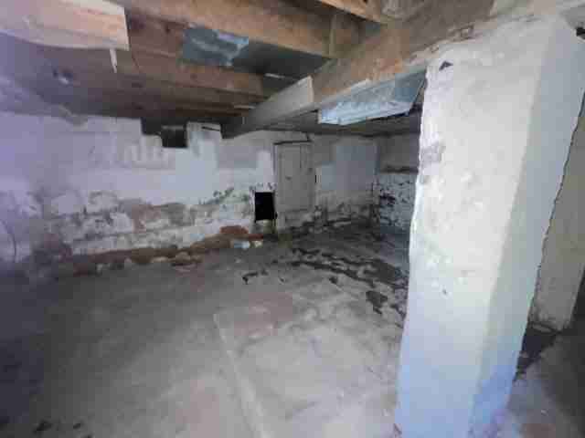 17257 bloom (50).jpg